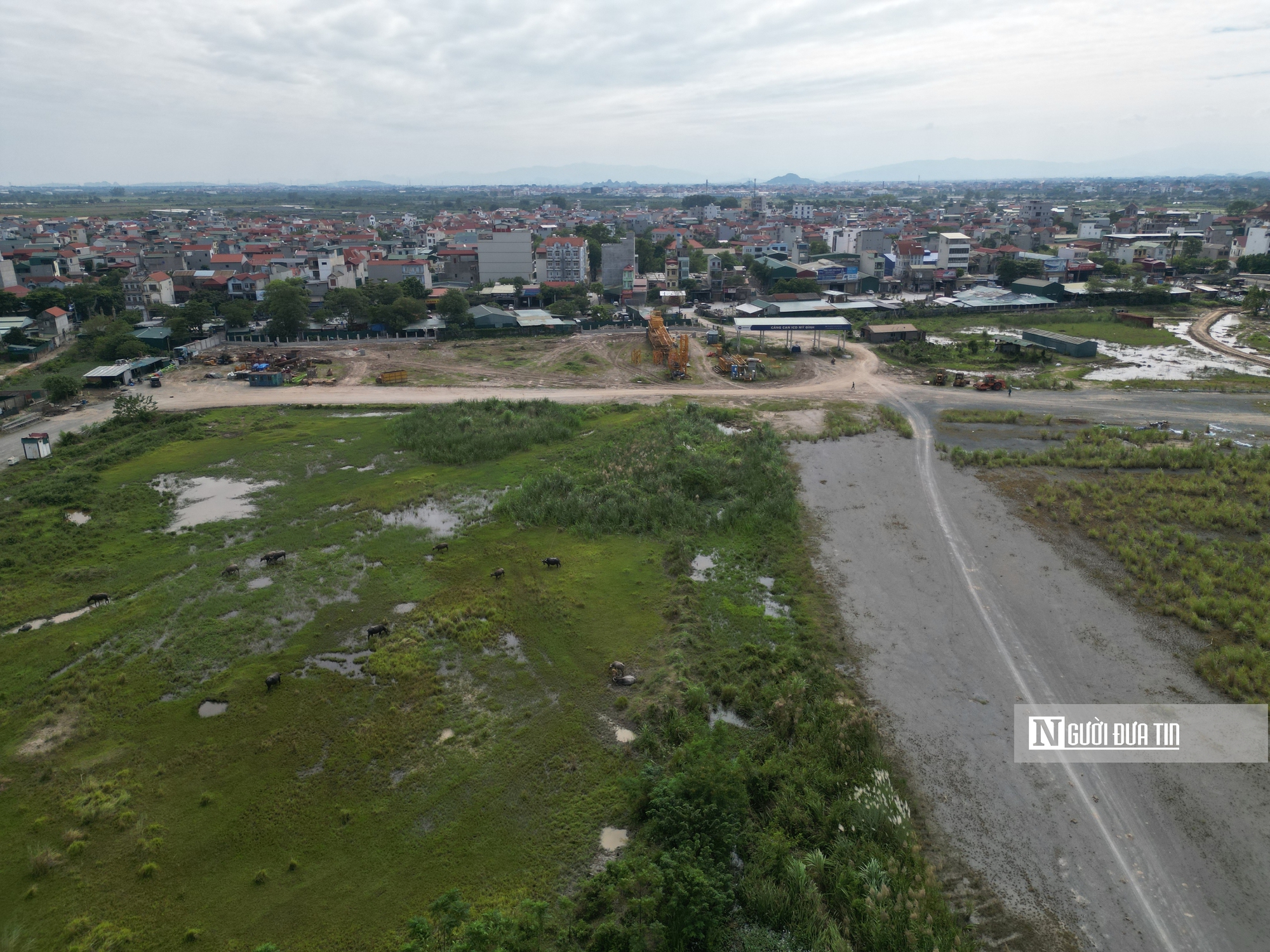 Dự án Cảng cạn ICD Mỹ Đình "mắc cạn" thành bãi chăn thả gia súc- Ảnh 4.