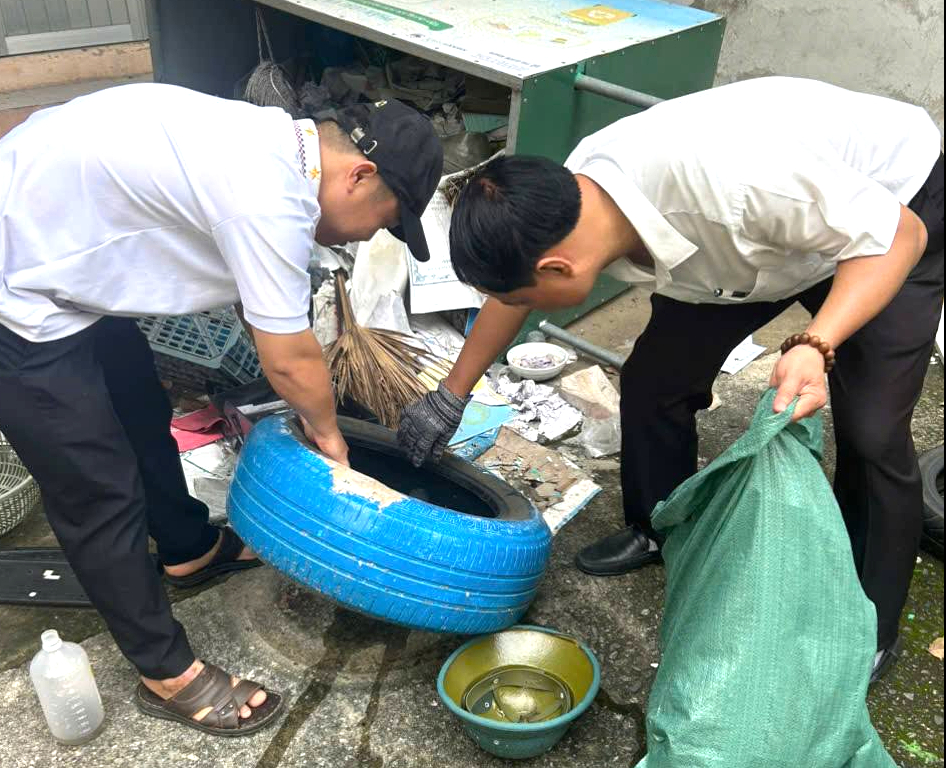 Đà Nẵng: Sốt xuất huyết tăng 37% trong một tuần- Ảnh 4. Đà Nẵng: Sốt xuất huyết tăng 37% trong một tuần- Ảnh 4.