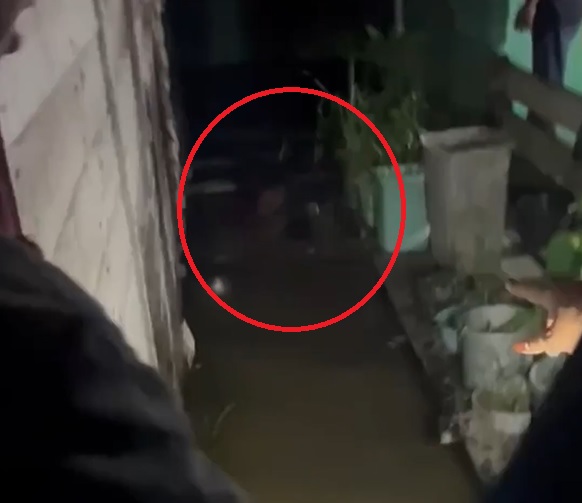 Đi bộ về nhà, cậu bé bị thứ đáng sợ tấn công trong đêm - Ảnh 1.