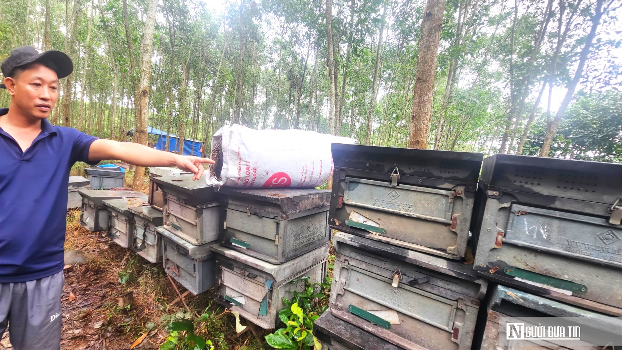 Đời “thiên di” giữa mùa thiên tai- Ảnh 2. Đời “thiên di” giữa mùa thiên tai- Ảnh 2.