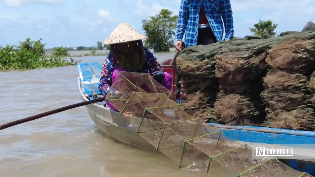 Lênh đênh giữa lộc trời con nước nổi - Ảnh 5.