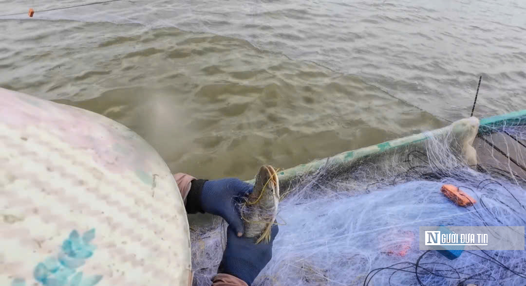 Lênh đênh giữa lộc trời con nước nổi - Ảnh 7.