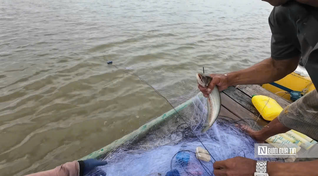 Lênh đênh giữa lộc trời con nước nổi - Ảnh 8.