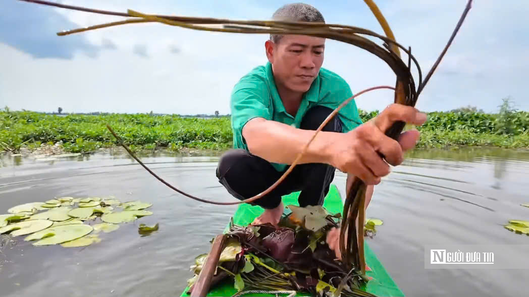 Lênh đênh giữa lộc trời con nước nổi - Ảnh 9.