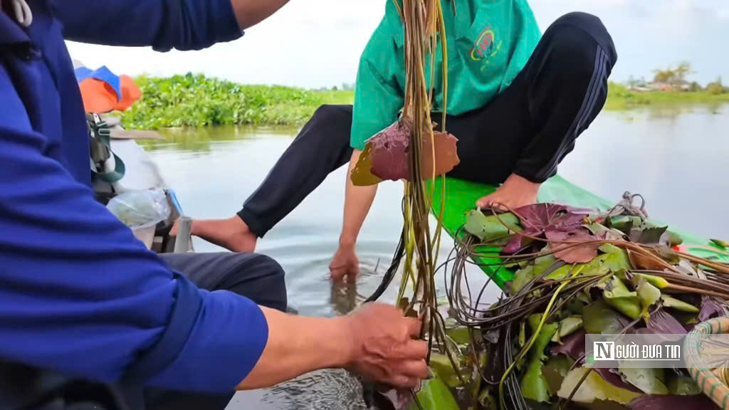 Lênh đênh giữa lộc trời con nước nổi - Ảnh 10.