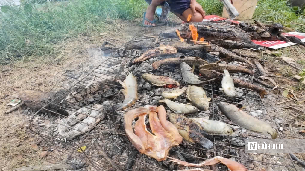 Lênh đênh giữa lộc trời con nước nổi - Ảnh 11.