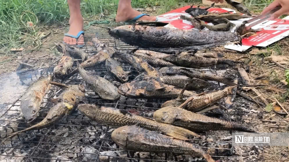 Lênh đênh giữa lộc trời con nước nổi - Ảnh 12.