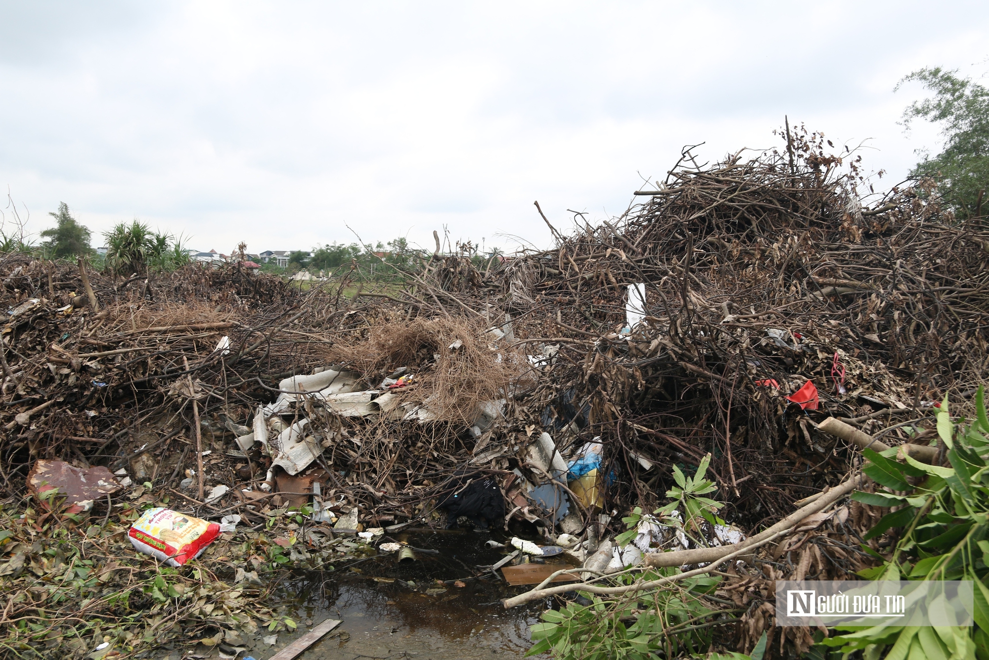 Rác thải chất đống cao ngút hai bên đường ở trung tâm đô thị Nghệ An- Ảnh 7.