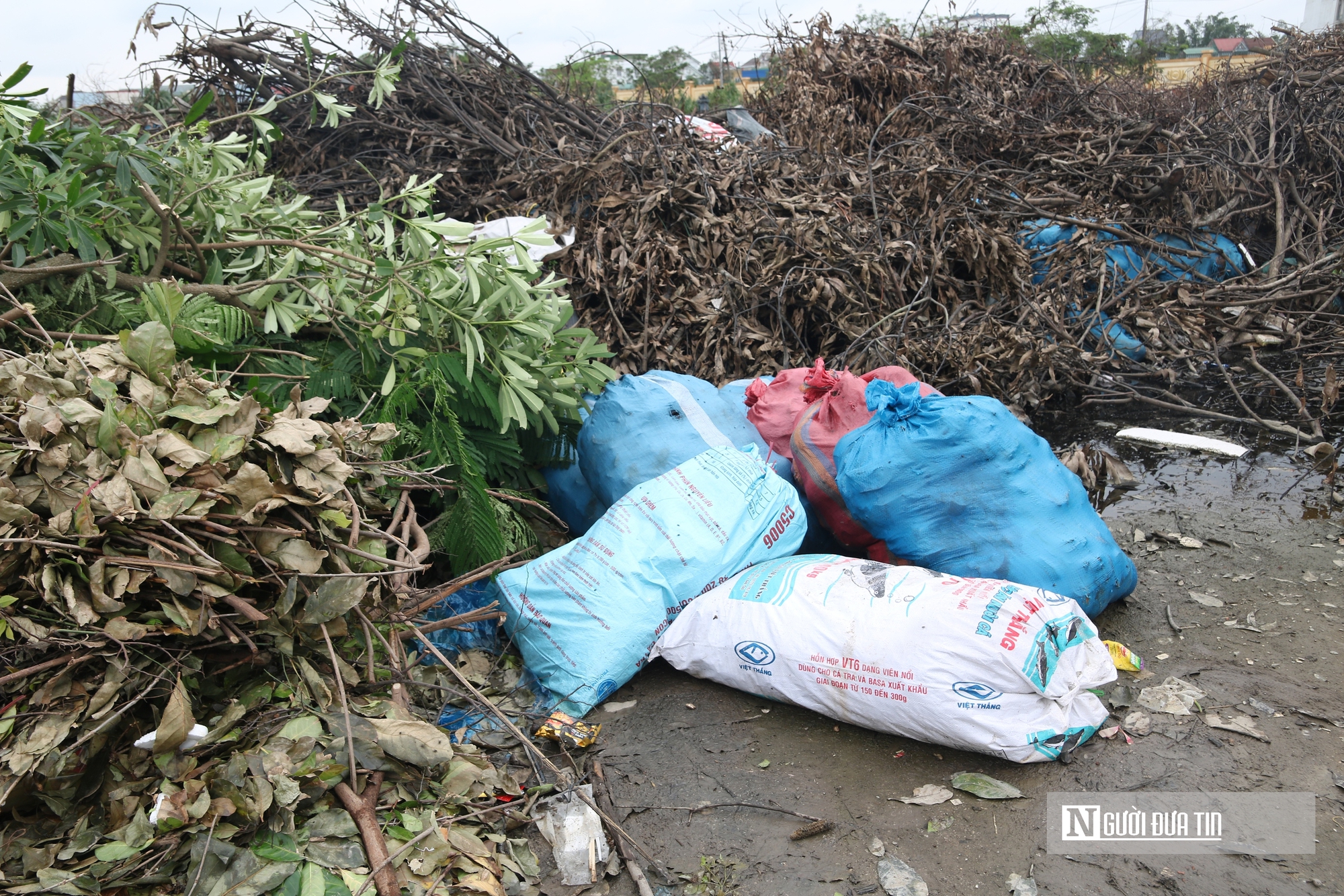 Rác thải chất đống cao ngút hai bên đường ở trung tâm đô thị Nghệ An- Ảnh 6.