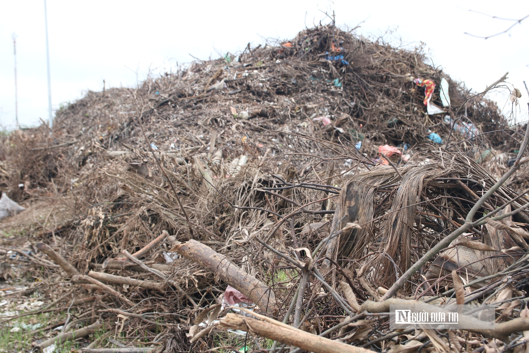 Rác thải chất đống cao ngút hai bên đường ở trung tâm đô thị Nghệ An- Ảnh 2.