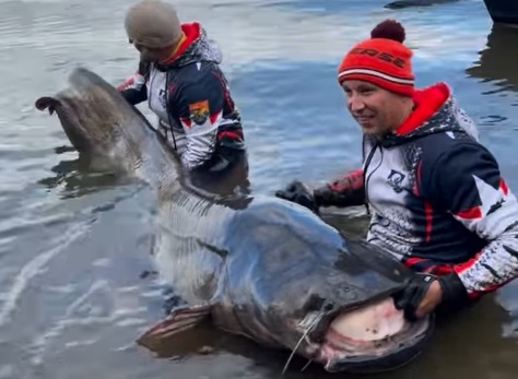 Hai cần thủ Ba Lan bắt được "quái vật", nhưng liệu nó có hợp lệ để phá kỷ lục? - Ảnh 1. Cần thủ câu được cá trê dài gần 3 mét vẫn chưa được công nhận kỷ lục - Ảnh 1.