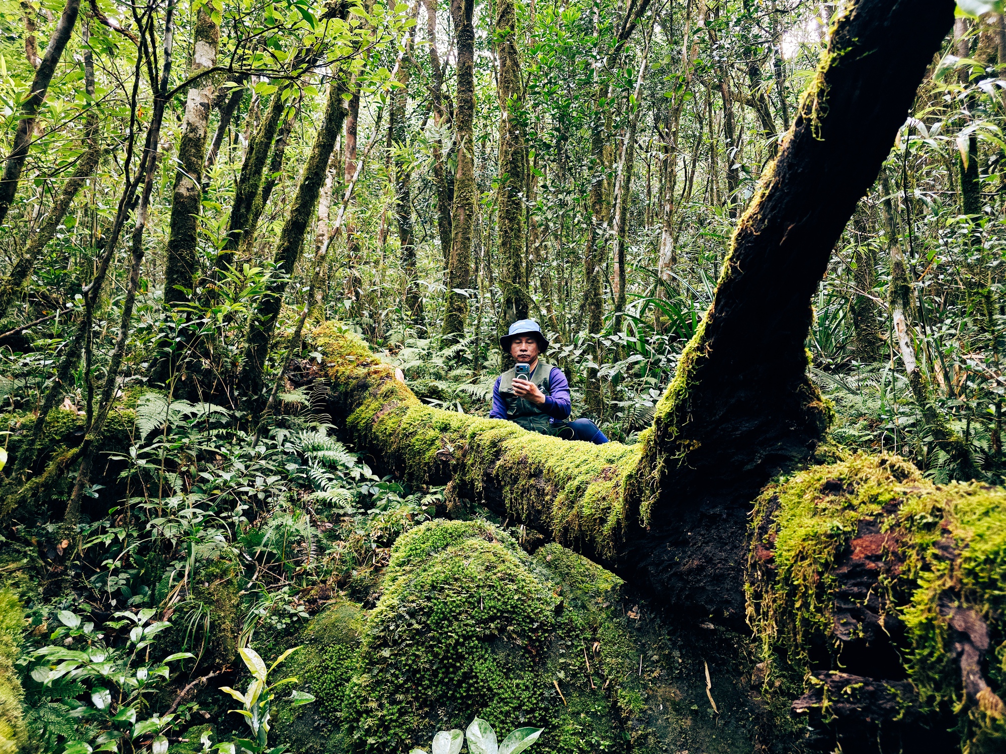 Mãn nhãn với biển mây, rừng rêu ma mị trên "nóc nhà" Quảng Trị - Ảnh 6.