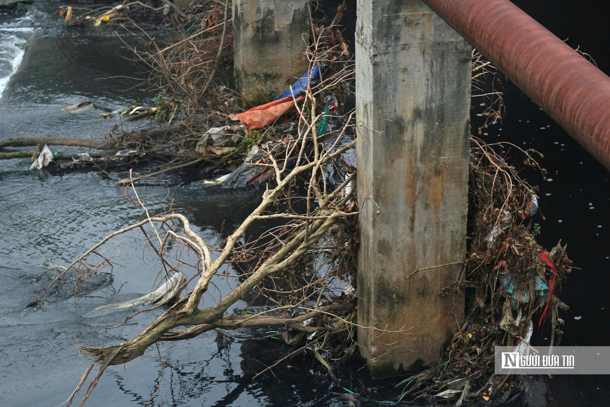 Nghệ An: Kênh Bắc “đen như mực”, người dân khổ sở sống chung với ô nhiễm - Ảnh 2.