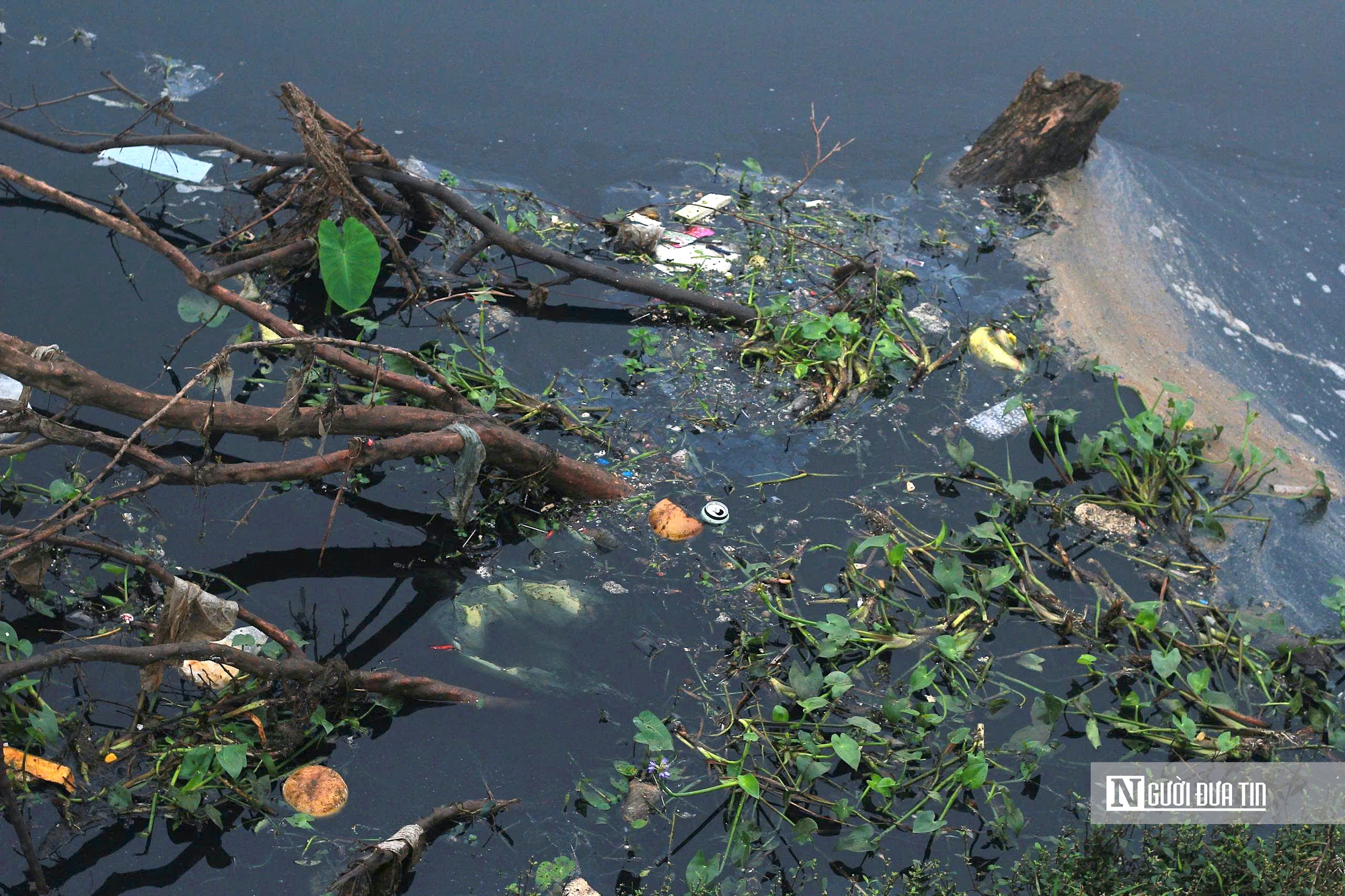 Nghệ An: Kênh Bắc “đen như mực”, người dân khổ sở sống chung với ô nhiễm - Ảnh 3.