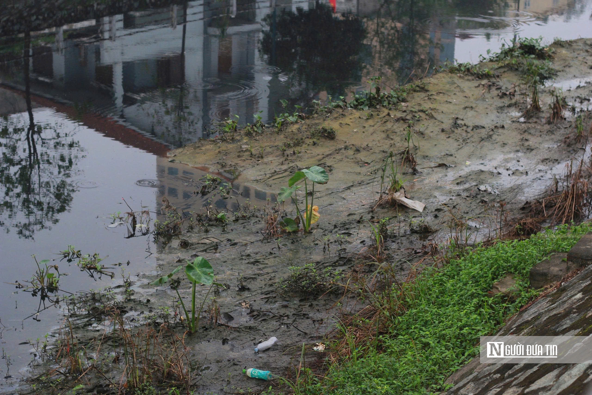 Nghệ An: Kênh Bắc “đen như mực”, người dân khổ sở sống chung với ô nhiễm - Ảnh 4.