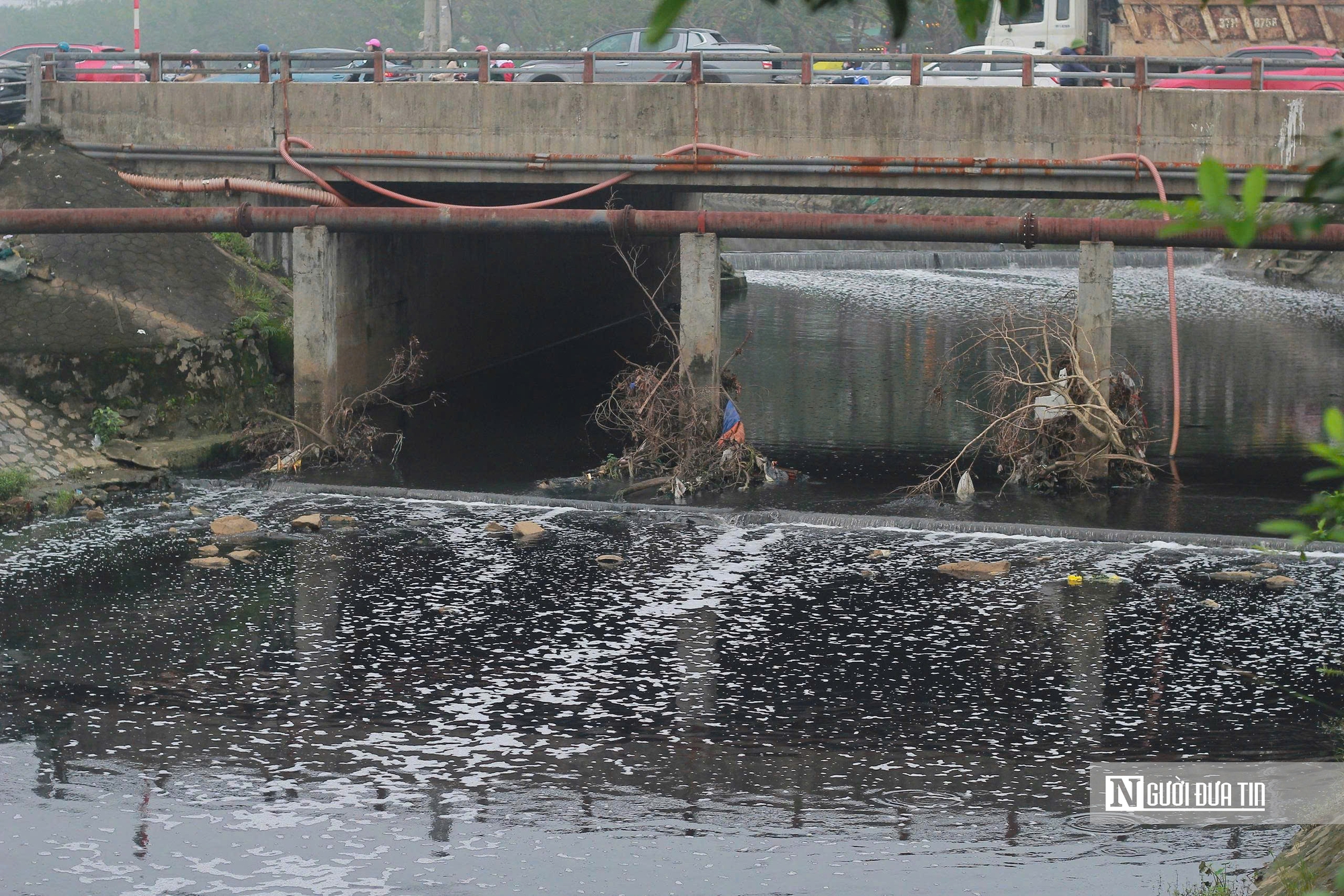 Nghệ An: Kênh Bắc “đen như mực”, người dân khổ sở sống chung với ô nhiễm - Ảnh 7.