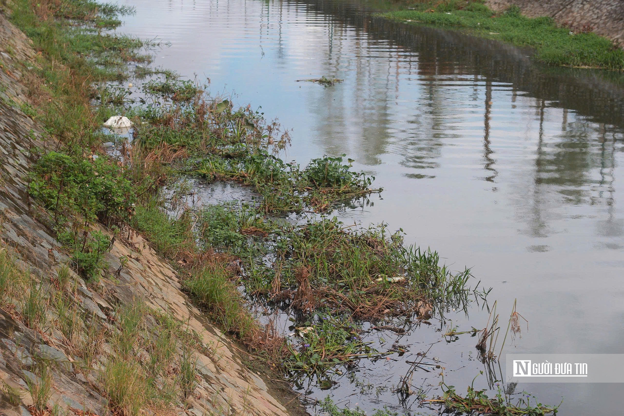 Nghệ An: Kênh Bắc “đen như mực”, người dân khổ sở sống chung với ô nhiễm - Ảnh 8.