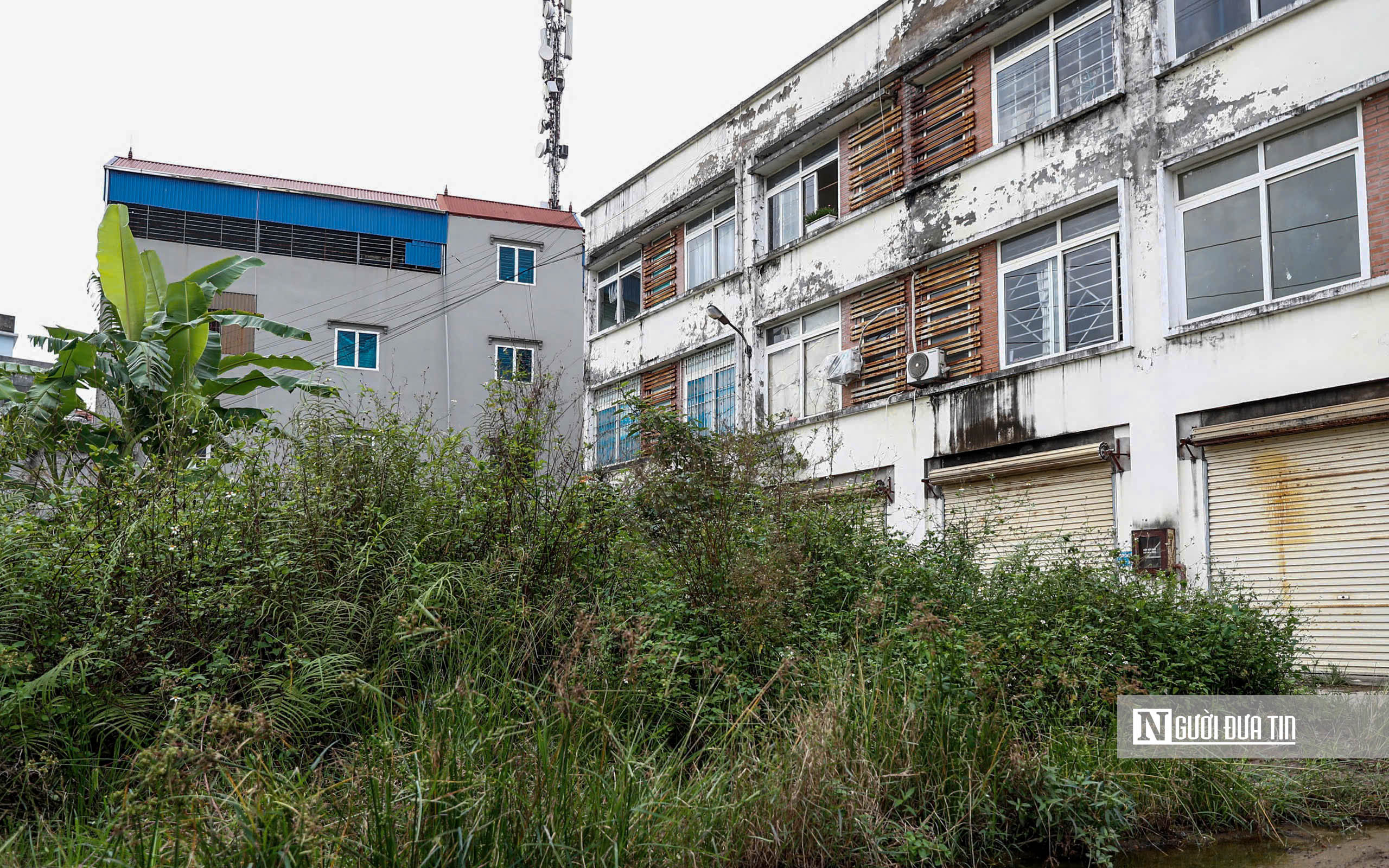 Hà Nội: Cận cảnh khu chợ bỏ hoang được đề xuất chuyển đổi thành nhà ở xã hội - Ảnh 7.