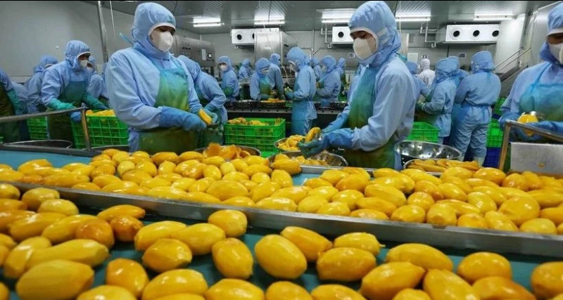 Cục Xuất nhập khẩu khuyến cáo doanh nghiệp cập nhật quy định mới của Trung Quốc về xuất khẩu thực phẩm - Ảnh 1.