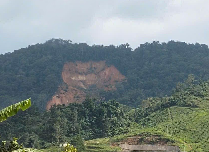 Đà Nẵng: Di dời 665 người dân sau khi quả đồi bất ngờ sạt lở, nghi vùi lấp 3 người- Ảnh 2. Đà Nẵng: Di dời 665 người dân sau khi quả đồi bất ngờ sạt lở, nghi vùi lấp 3 người- Ảnh 2.