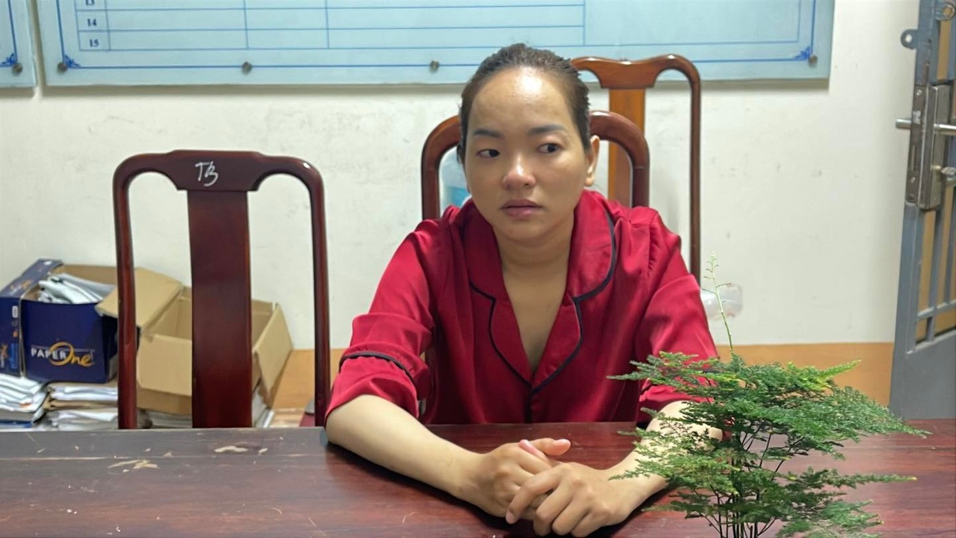 Đến dọn nhà, người phụ nữ trộm trang sức hơn 330 triệu đồng của gia chủ - Ảnh 1.