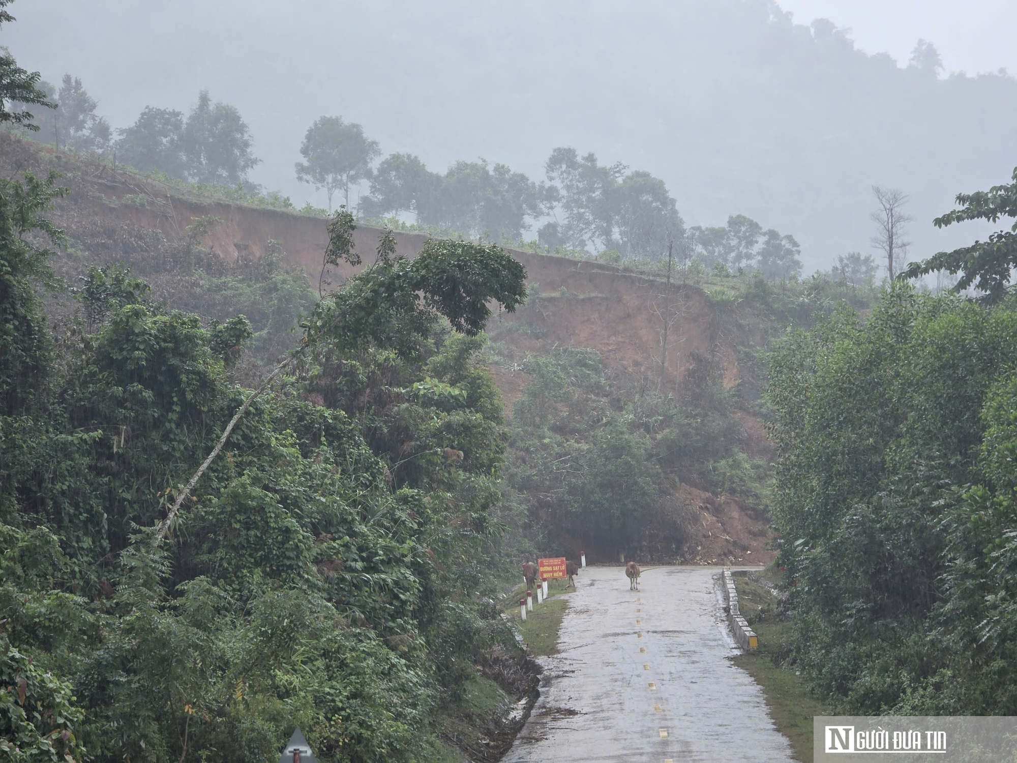 Cận cảnh tuyến quốc lộ có hàng loạt điểm sạt lở nghiêm trọng- Ảnh 15. Cận cảnh tuyến quốc lộ có hàng loạt điểm sạt lở nghiêm trọng- Ảnh 15.