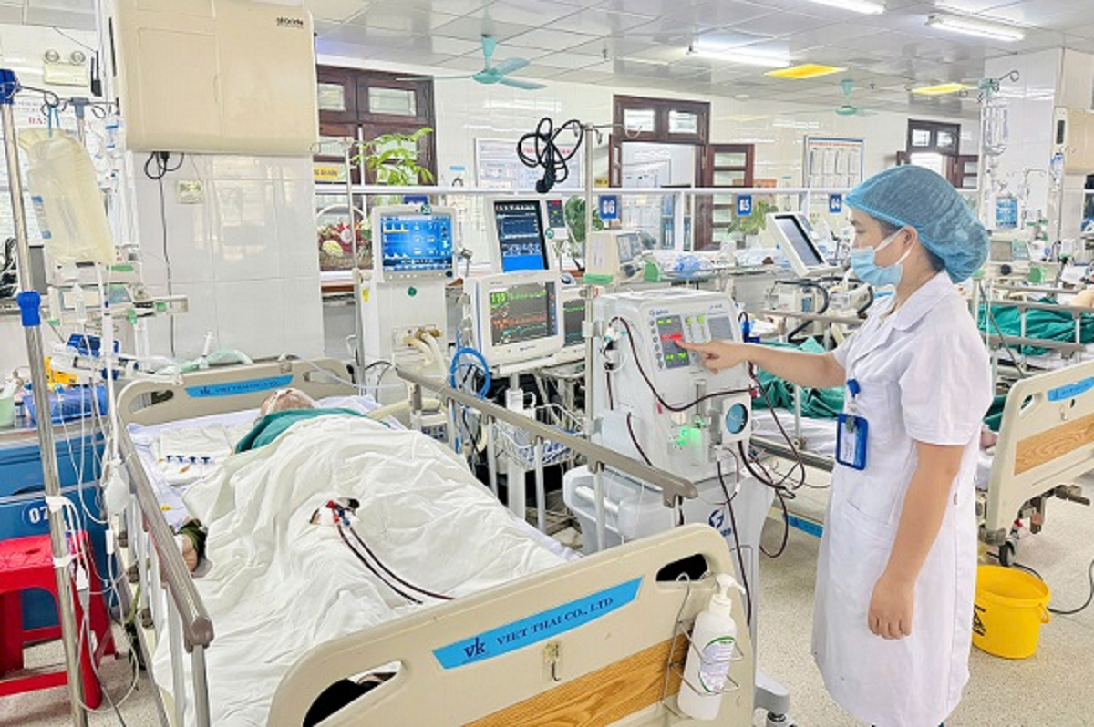 Đang dọn dẹp nhà, người đàn ông 45 tuổi bị con vật quen thuộc đốt nguy kịch- Ảnh 1.