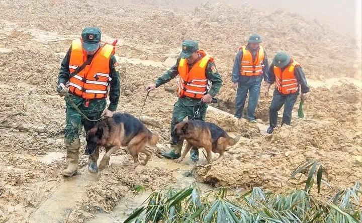 Tạm dừng tìm kiếm 3 nạn nhân mất tích trong vụ sạt lở núi kinh hoàng ở Đà Nẵng- Ảnh 1.