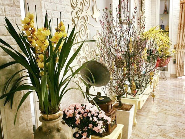 NSND Hồng Vân viên mãn trong cơ ngơi dưỡng già nhiều người mơ ước - Ảnh 7.