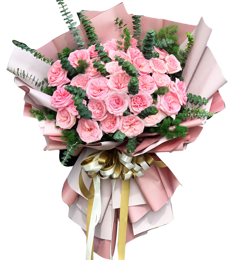 Những loài hoa ý nghĩa tặng thầy cô ngày Nhà giáo Việt Nam 20/11- Ảnh 3. Những loài hoa ý nghĩa tặng thầy cô ngày Nhà giáo Việt Nam 20/11- Ảnh 3.