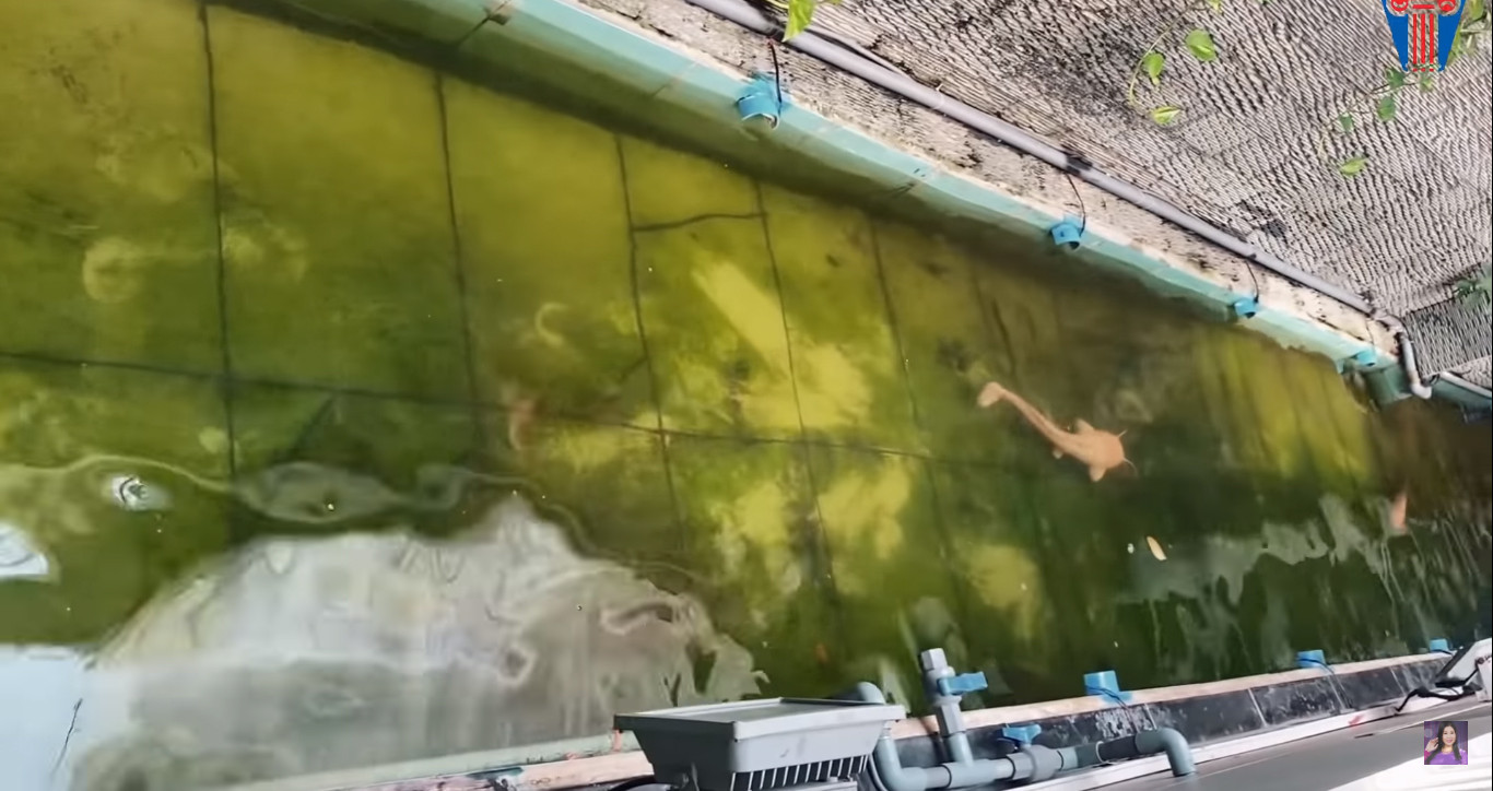 NSND Hồng Vân và Lê Tuấn Anh: Hạnh phúc bên tổ ấm tuổi U60 - Ảnh 25. NSND Hồng Vân và Lê Tuấn Anh: Hạnh phúc bên tổ ấm tuổi U60 - Ảnh 25.