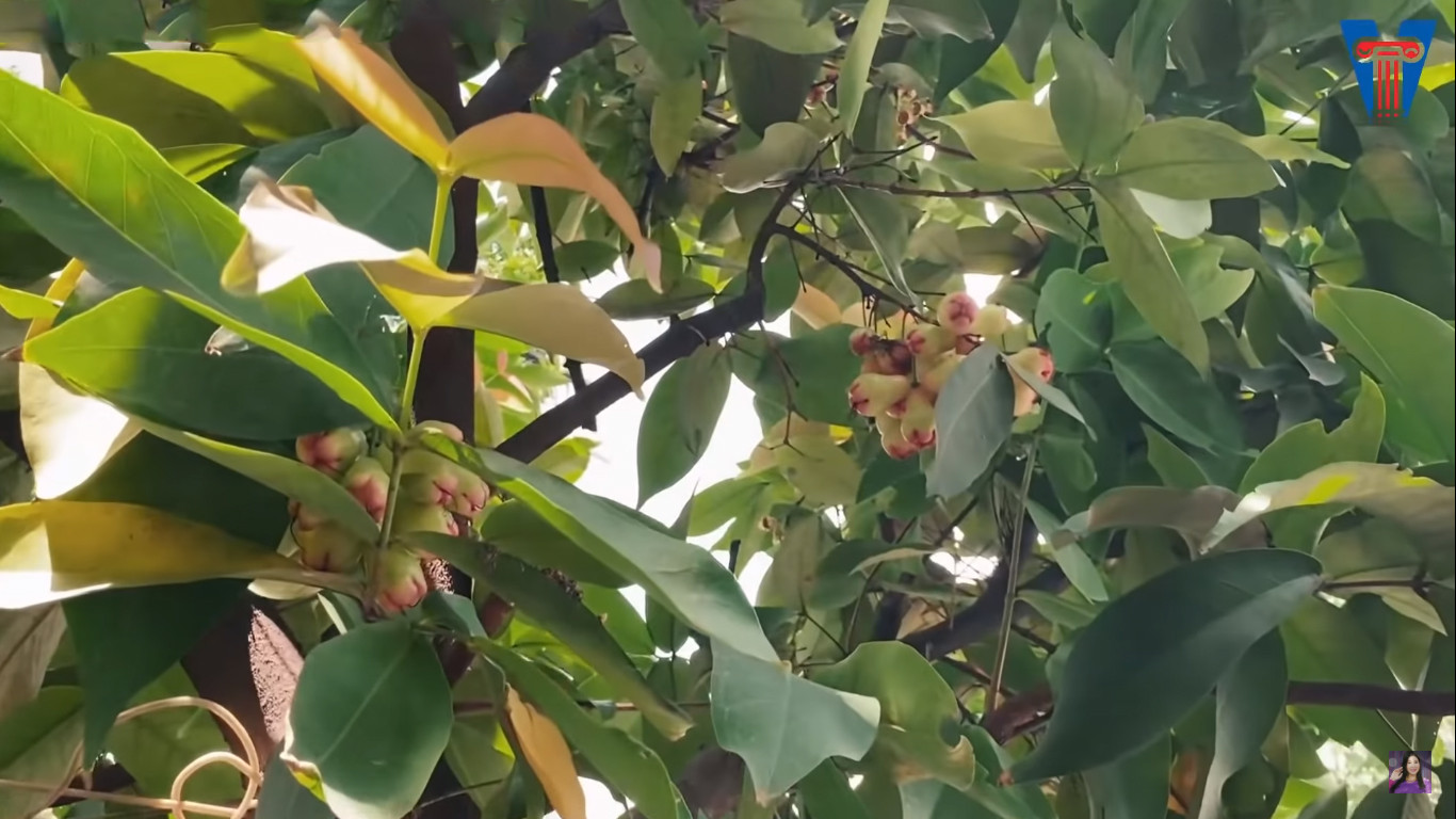 NSND Hồng Vân viên mãn trong cơ ngơi dưỡng già nhiều người mơ ước - Ảnh 15.