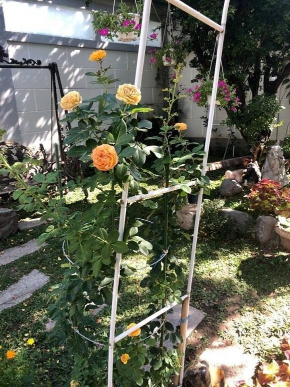 NSND Hồng Vân viên mãn trong cơ ngơi dưỡng già nhiều người mơ ước - Ảnh 4.