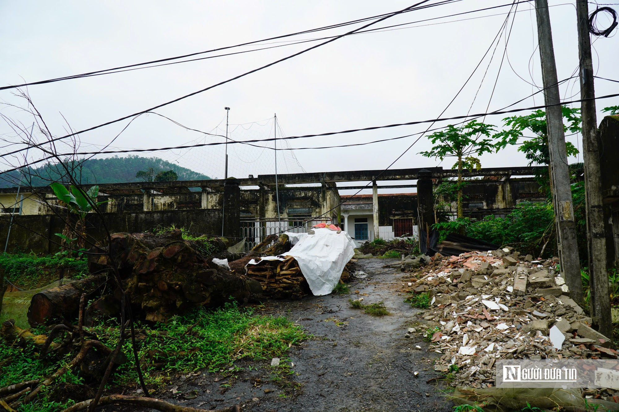 Hà Tĩnh: Cận cảnh phòng khám bỏ hoang nằm giữa khu “đất vàng” trở thành nơi chăn nuôi gia súc- Ảnh 1.