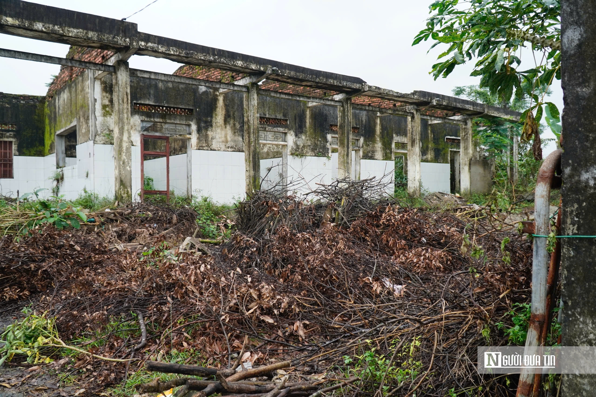 Hà Tĩnh: Cận cảnh phòng khám bỏ hoang nằm giữa khu “đất vàng” trở thành nơi chăn nuôi gia súc- Ảnh 2.