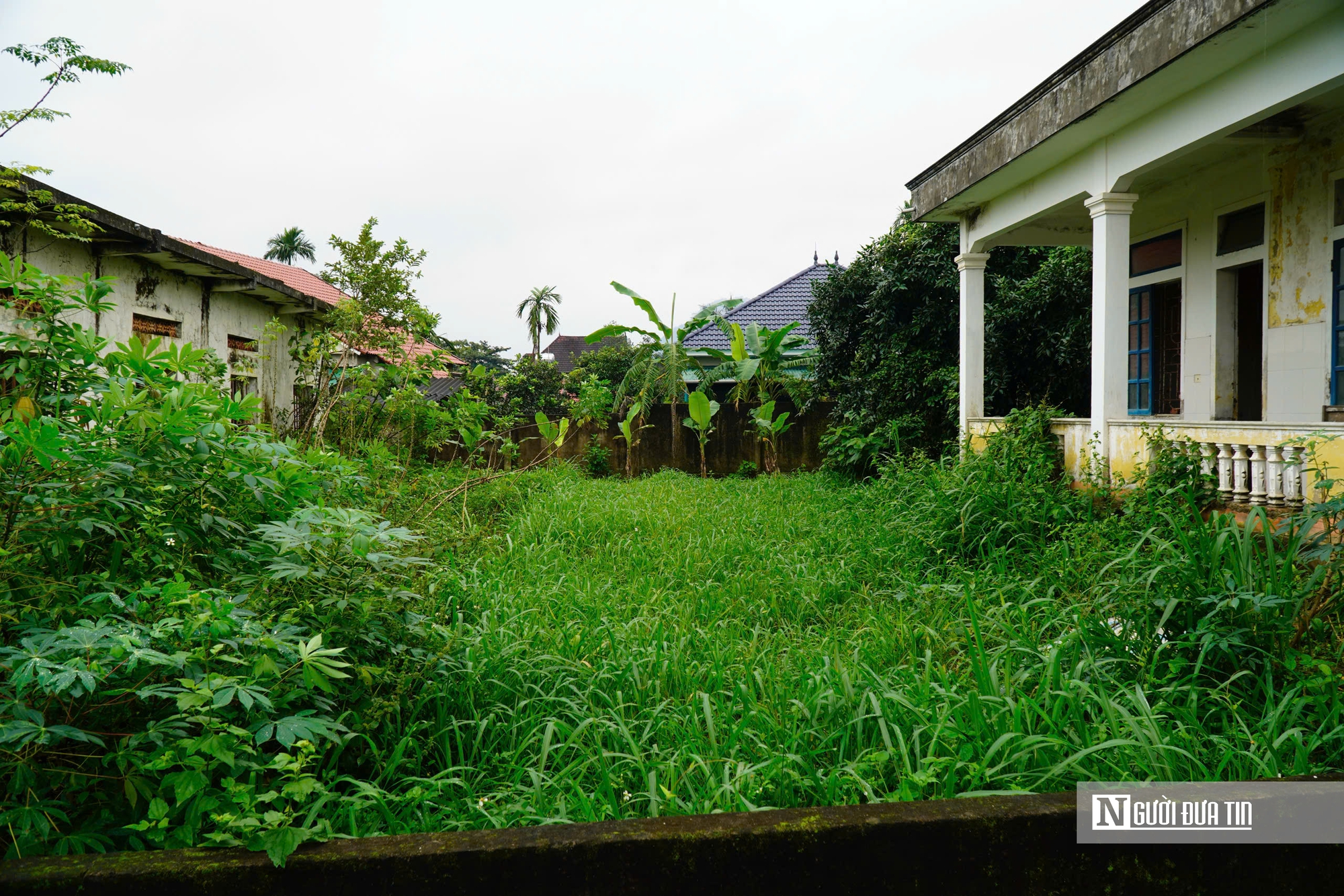 Hà Tĩnh: Cận cảnh phòng khám bỏ hoang nằm giữa khu “đất vàng” trở thành nơi chăn nuôi gia súc- Ảnh 3.