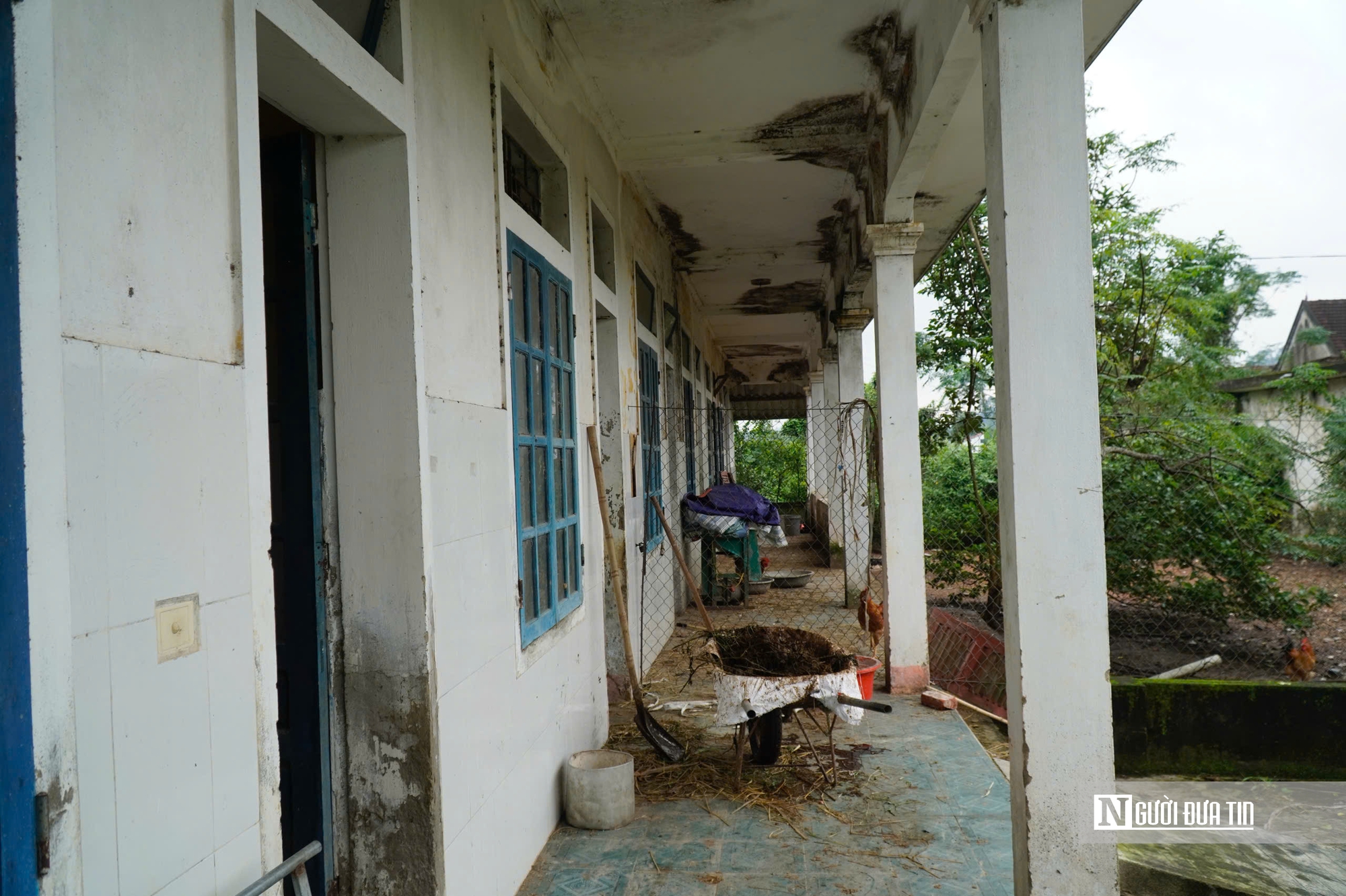 Hà Tĩnh: Cận cảnh phòng khám bỏ hoang nằm giữa khu “đất vàng” trở thành nơi chăn nuôi gia súc- Ảnh 4.