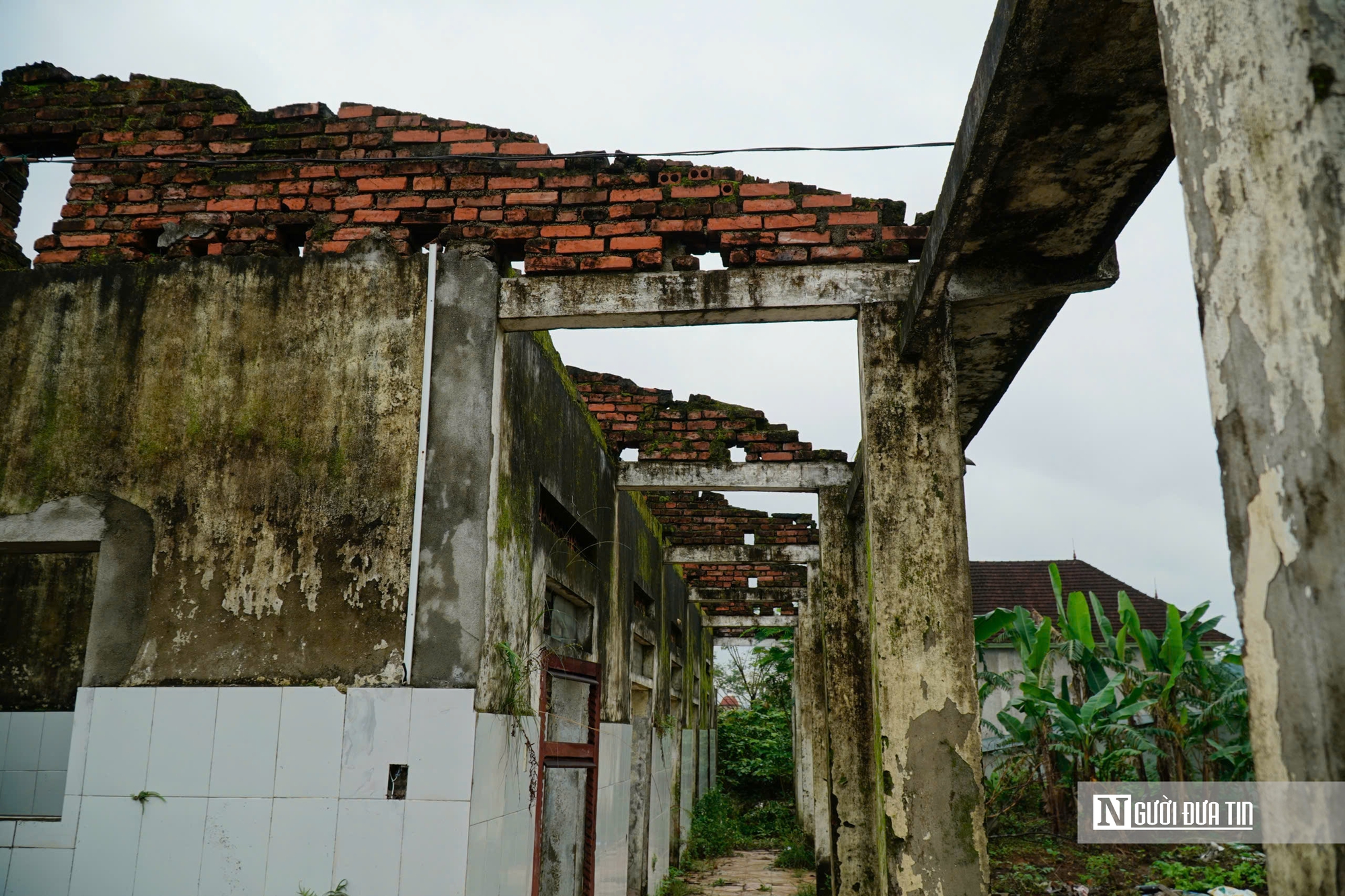 Hà Tĩnh: Cận cảnh phòng khám bỏ hoang nằm giữa khu “đất vàng” trở thành nơi chăn nuôi gia súc- Ảnh 8.