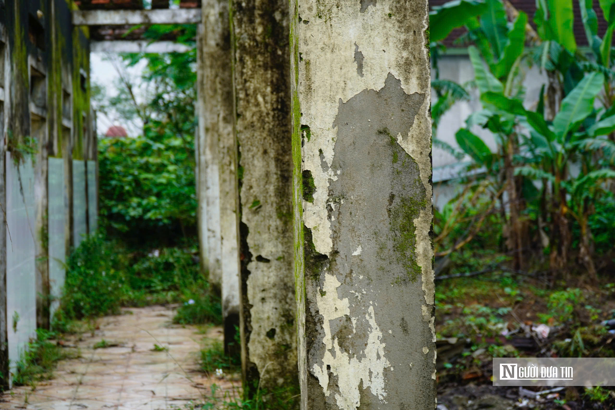 Hà Tĩnh: Cận cảnh phòng khám bỏ hoang nằm giữa khu “đất vàng” trở thành nơi chăn nuôi gia súc- Ảnh 9.