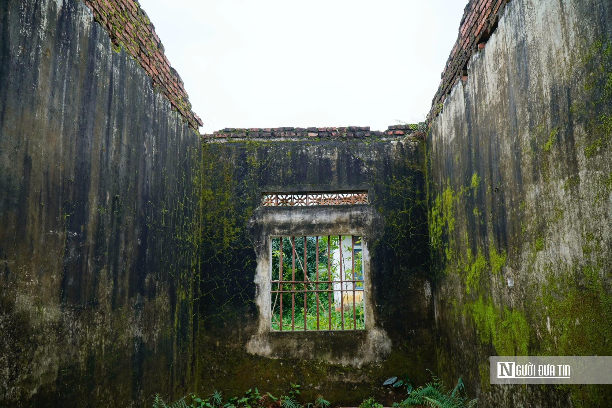 Hà Tĩnh: Cận cảnh phòng khám bỏ hoang nằm giữa khu “đất vàng” trở thành nơi chăn nuôi gia súc- Ảnh 10.