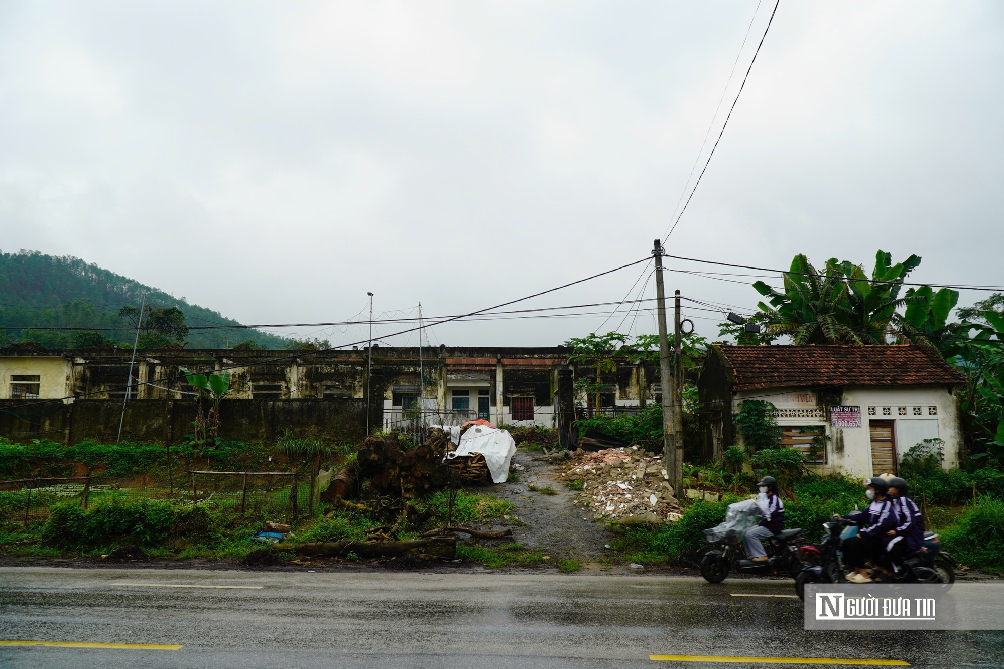 Hà Tĩnh: Cận cảnh phòng khám bỏ hoang nằm giữa khu “đất vàng” trở thành nơi chăn nuôi gia súc- Ảnh 11.