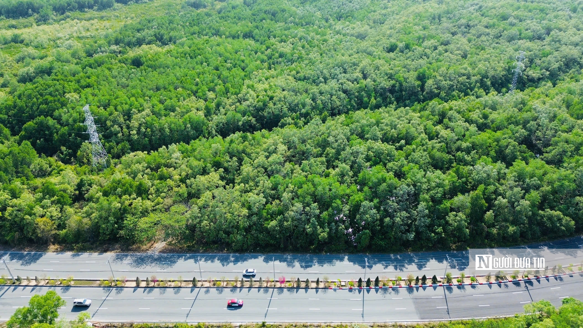 Cận cảnh “đại công trường” lấn biển ở Cần Giờ  - Ảnh 17.