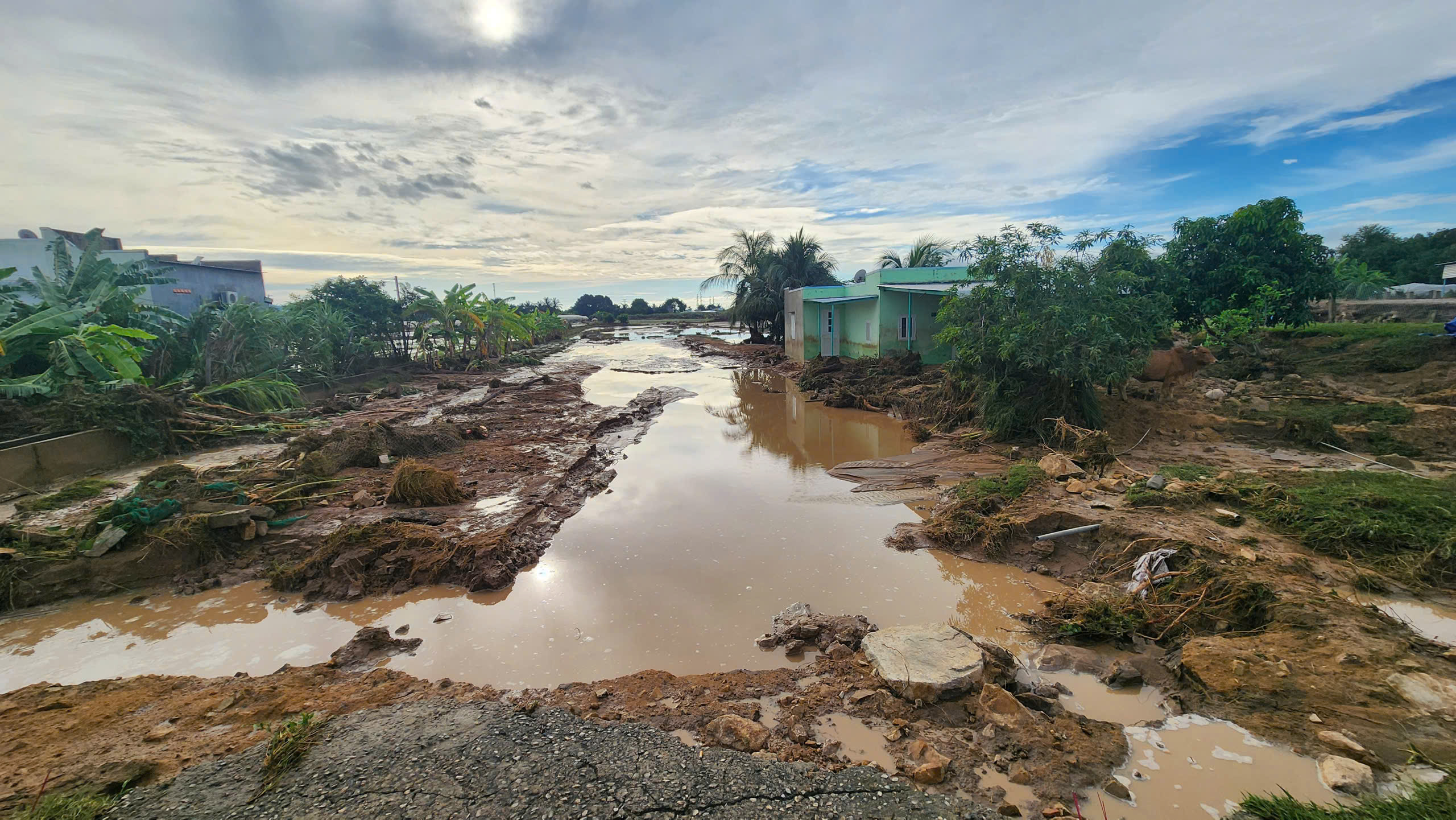 Cận cảnh tan hoang sau vụ vỡ hồ chứa nước ở Lâm Đồng- Ảnh 2. Cận cảnh tan hoang sau vụ vỡ hồ chứa nước ở Lâm Đồng- Ảnh 2.