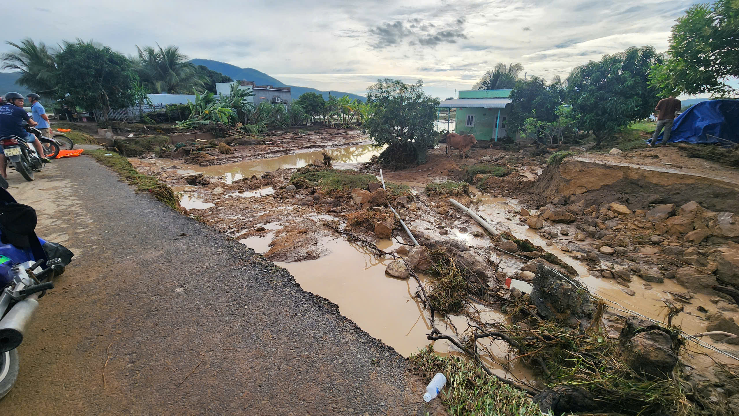 Cận cảnh tan hoang sau vụ vỡ hồ chứa nước ở Lâm Đồng- Ảnh 6. Cận cảnh tan hoang sau vụ vỡ hồ chứa nước ở Lâm Đồng- Ảnh 6.