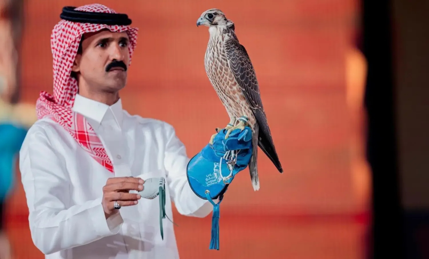 Con chim ưng được bán với giá 2,4 tỷ đồng - Ảnh 1.