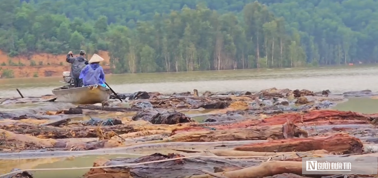 VIDEO: “Mót” củi giữa lòng hồ thủy điện sau lũ- Ảnh 2.