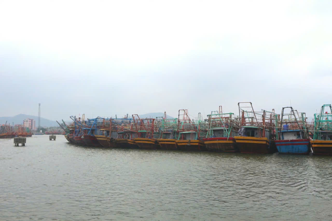 Quảng Trị quyết tâm chấm dứt tình trạng khai thác hải sản bất hợp pháp - Ảnh 3.