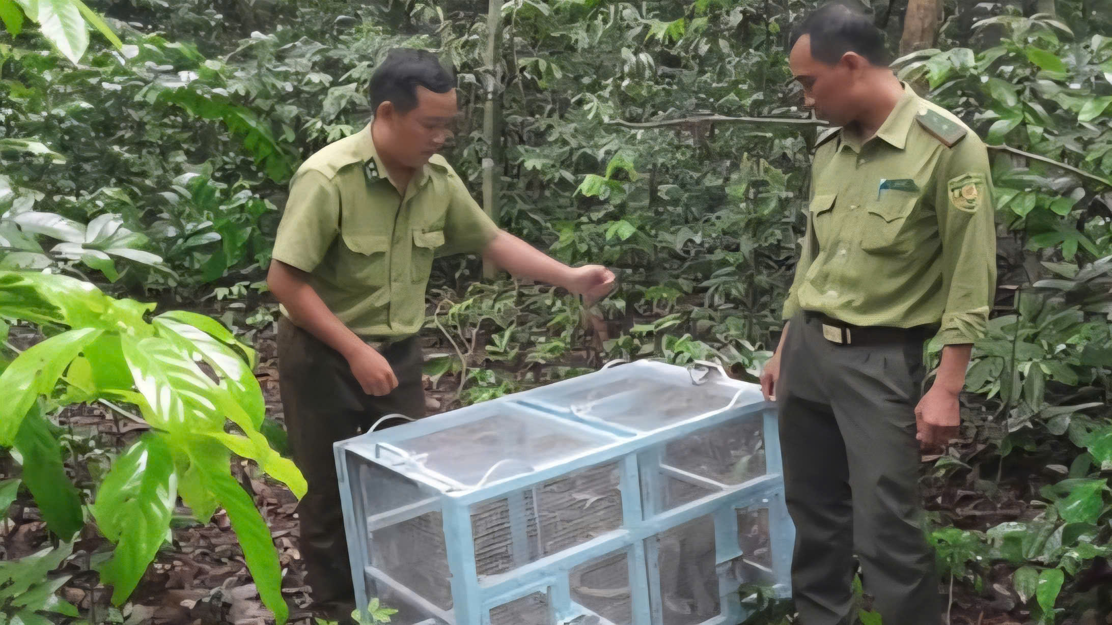 Tây Ninh mở chiến dịch truy quét những "bẫy ngầm" tận diệt động vật hoang dã- Ảnh 5.