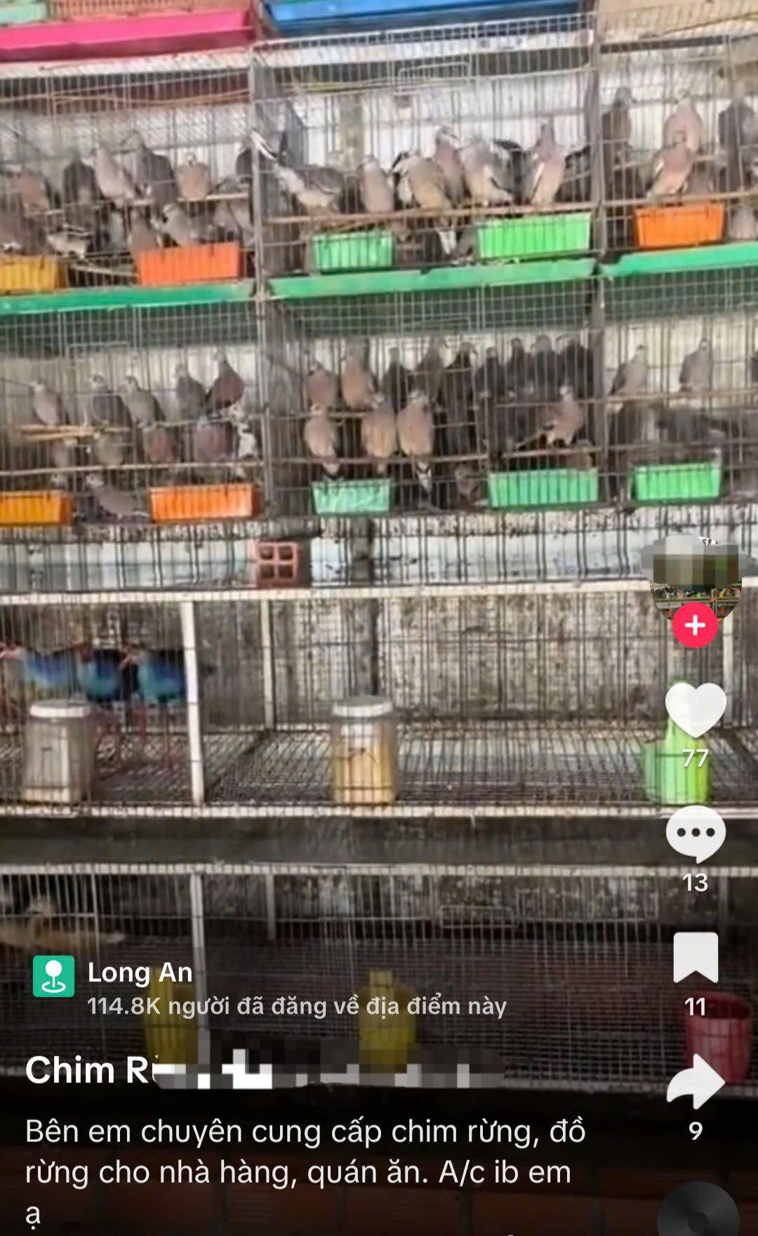 Tây Ninh mở chiến dịch truy quét những "bẫy ngầm" tận diệt động vật hoang dã- Ảnh 4.