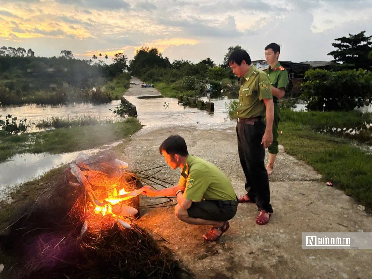Huế triển khai nhiều biện pháp để ngăn chặn nạn săn bắt chim hoang dã - Ảnh 1.
